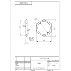 МЧ00.21.00.08 Гайка